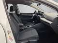 Volkswagen Golf Life TSI ACT Weiß - thumbnail 11
