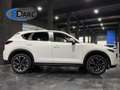 Mazda CX-5 2.0 Skyactiv-G Origin 2WD Aut. 121kW Weiß - thumbnail 5