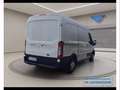 Ford Transit 290 2.0 TDCi Trend - L2H2 Bianco - thumbnail 6