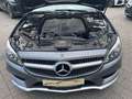 Mercedes-Benz CLS CLS 250 d 4Matic Schooting Brake*3xAMG*360°*H/K* Gris - thumbnail 8