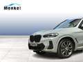 BMW X3 xDrive20d M Sportpaket HiFi DAB LED WLAN RFK Gris - thumbnail 3