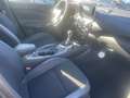 Nissan Juke Juke II 2020 1.0 dig-t N-Connecta 114cv Gris - thumbnail 10