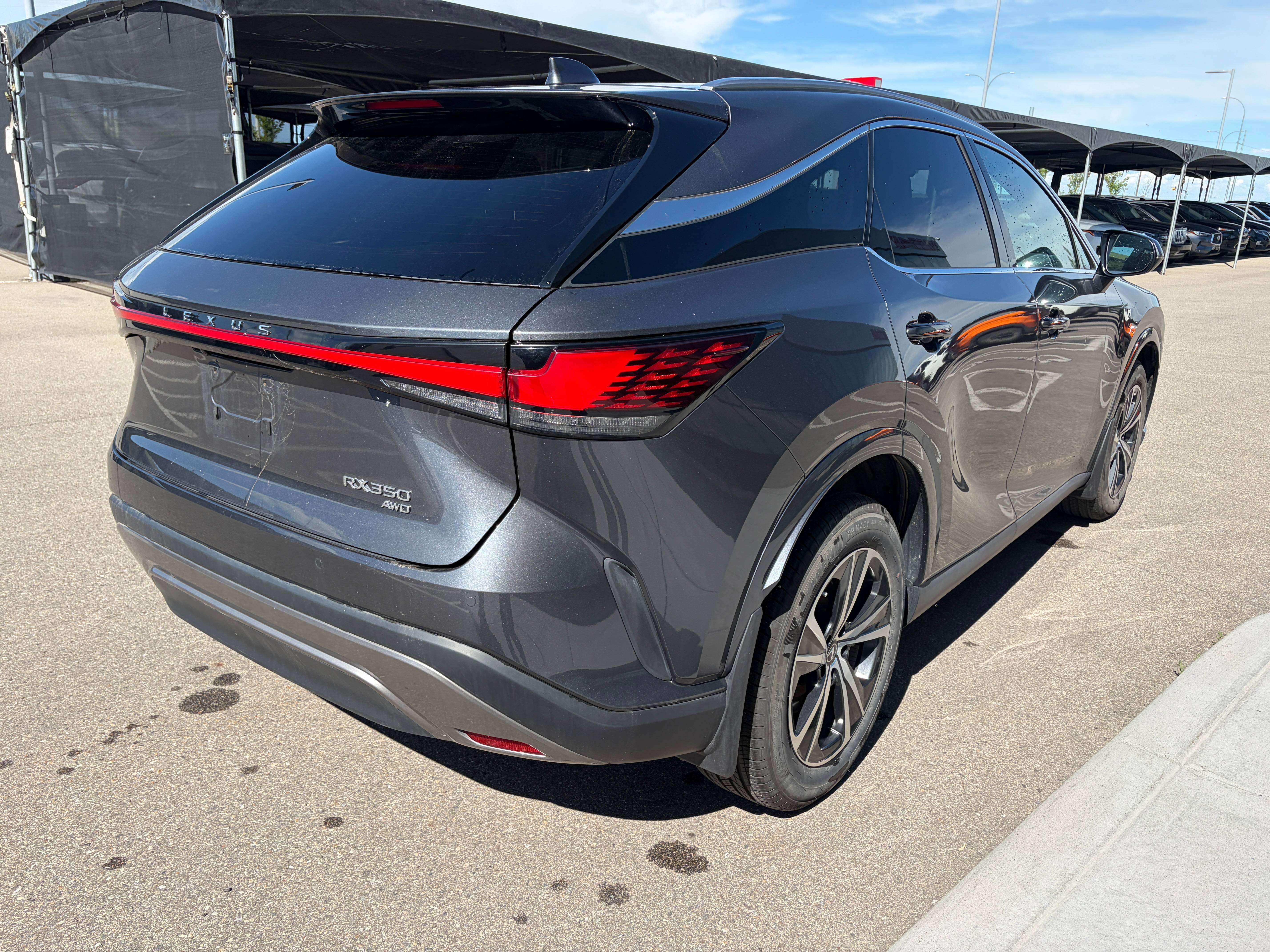 2024 Lexus RX