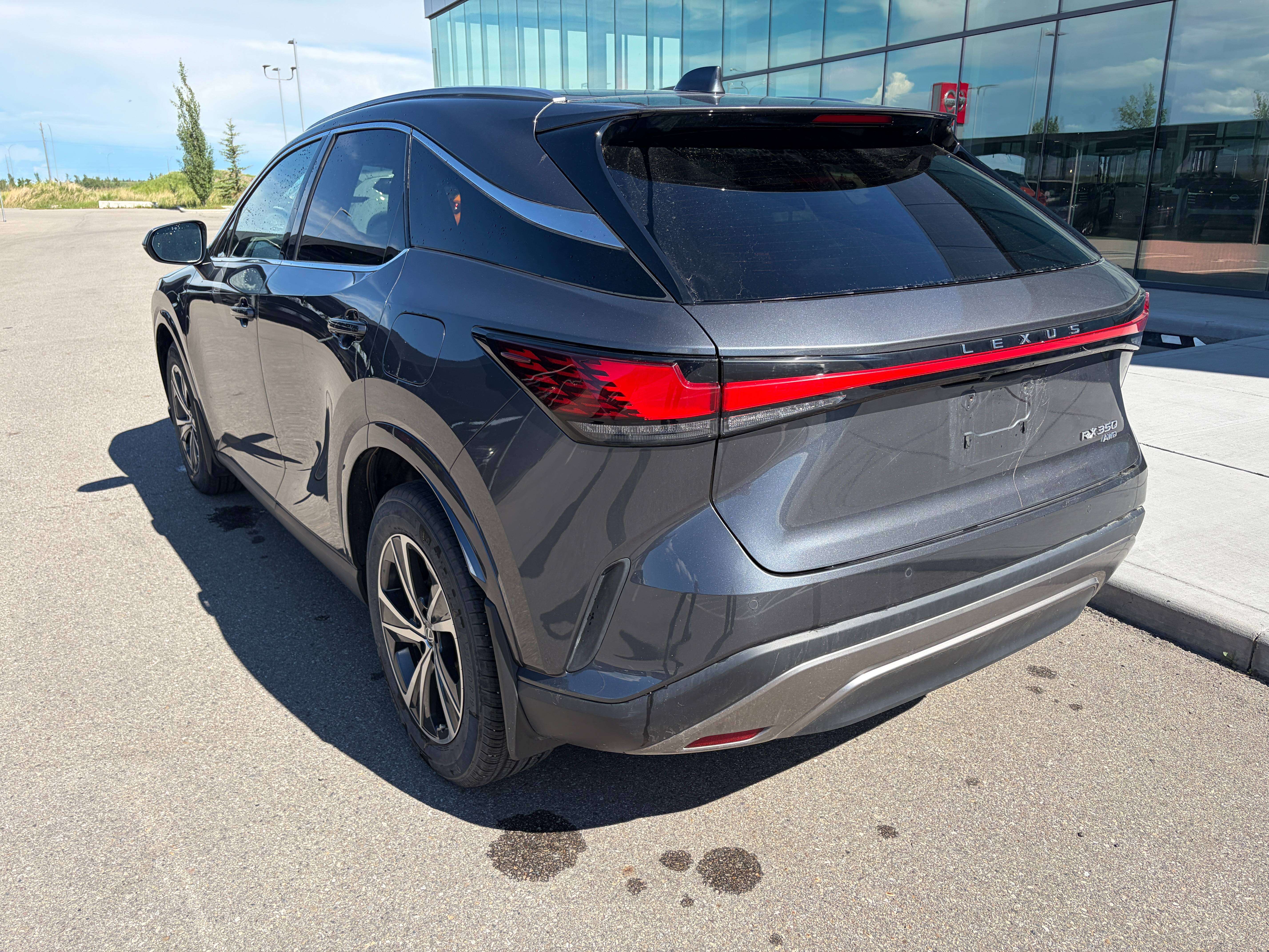 2024 Lexus RX