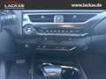 Lexus UX 250h 250h EU6d STYLE+*LED*ACC*CA RPLAY* LED ACC Apple CarPlay Android Auto Mehrzonenklima Silber - thumbnail 14