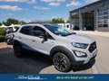Ford EcoSport Active 1,0 Ltr. - 125 PS EcoBoost DAB TOTER-WIN... Grijs - thumbnail 7