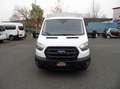 Ford Transit 350 L2 DoppelKa. 7-Sitzer+Pritsche+Plane+4x4+Klima Blanc - thumbnail 7