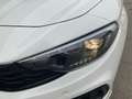 Fiat Tipo FireFly Turbo 100 City Life Weiß - thumbnail 12