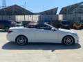 Mercedes-Benz E 350 E Cabrio 350 d (bt) Premium 258cv auto E6 FULL Bianco - thumbnail 4