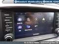 Kia Sorento GT LINE 4WD+Leder+Navi+Kamera+19+AHK Gris - thumbnail 14