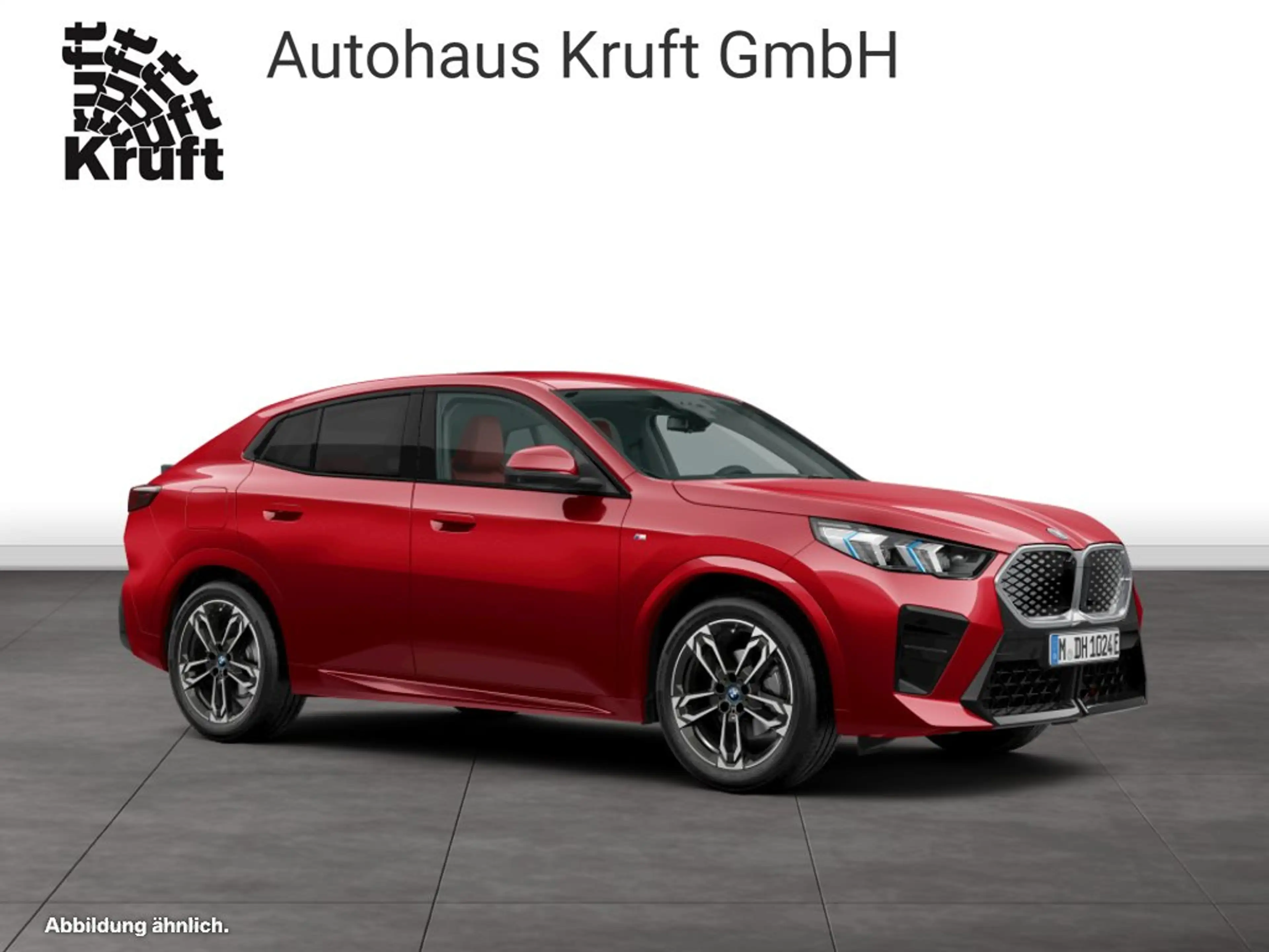 BMW iX2 eDrive20 M SPORT+ICONIC GLOW+HUD+KAMERA — photo 10