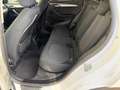 BMW X1 sDrive16d Executive/CLIMA/AUT/CRUISE/PARKS/APK Wit - thumbnail 20