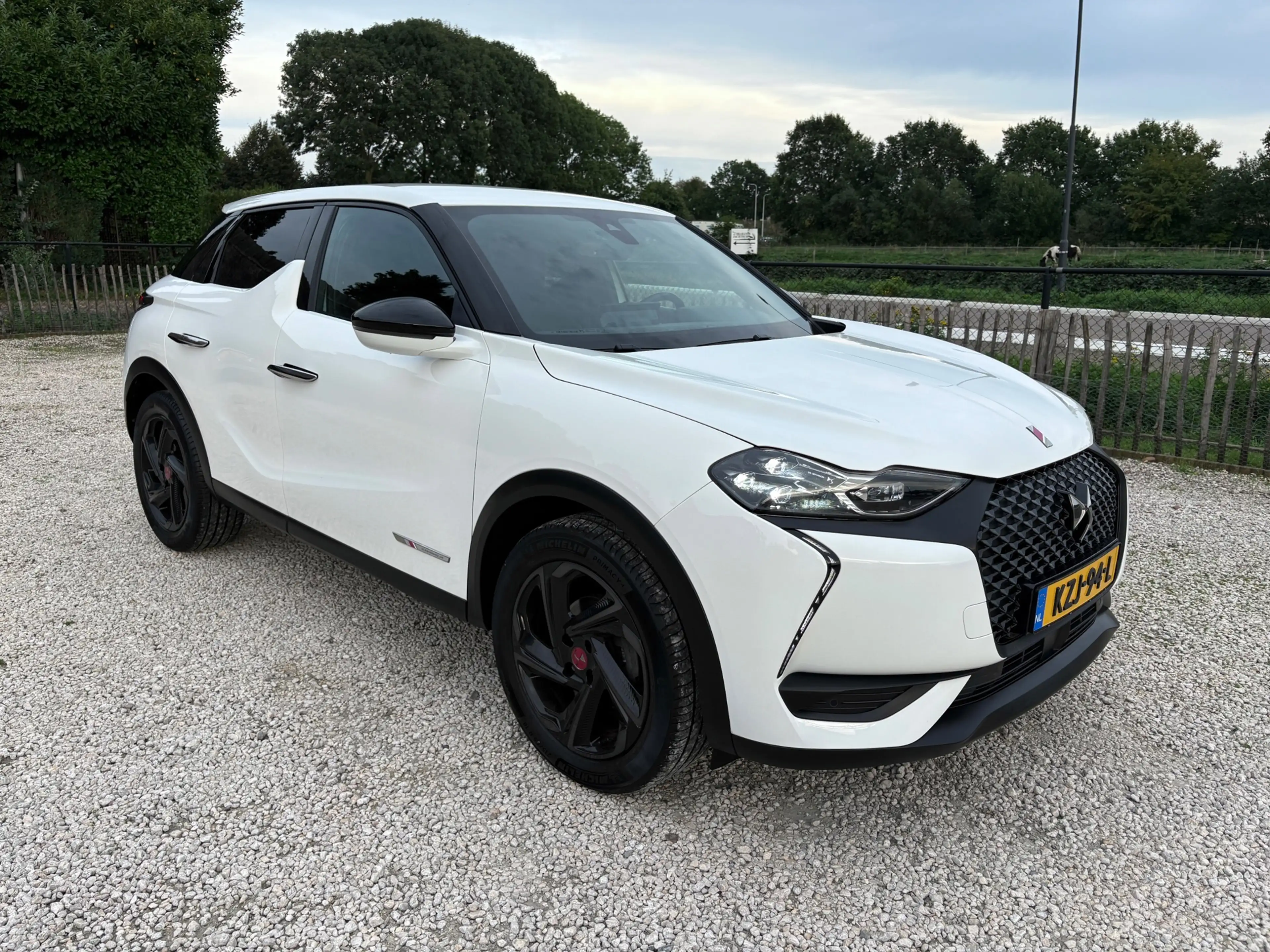 DS Automobiles DS 3 Crossback 1.2 110pk Performance Line+ Alcantara, Keyless, LE — photo 3