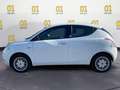 Lancia Ypsilon Ypsilon 1.2 69 CV 5 porte GPL Ecochic Gold Blanc - thumbnail 2