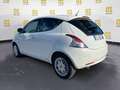 Lancia Ypsilon Ypsilon 1.2 69 CV 5 porte GPL Ecochic Gold Blanc - thumbnail 3