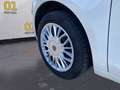 Lancia Ypsilon Ypsilon 1.2 69 CV 5 porte GPL Ecochic Gold Blanc - thumbnail 10
