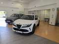 Alfa Romeo Junior Junior 1.2 136 CV Hybrid eDCT6 Bianco - thumbnail 2