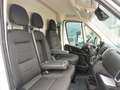 Fiat Ducato Maxi L4H3 180 / Schwingsitz+10-Zoll Navi Weiß - thumbnail 12