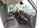 Fiat Ducato Maxi L4H3 180 / Schwingsitz+10-Zoll Navi Weiß - thumbnail 11