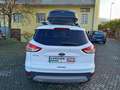 Ford Kuga 2.0 TDCI S&S 4WD TITANIUM UNICO PROPRIETARIO Blanc - thumbnail 8