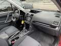 Subaru Forester 2.0 Premium Trekhaak/Schuifdak/Camera/Stoelverwarm Rood - thumbnail 44