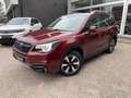 Subaru Forester 2.0 Premium Trekhaak/Schuifdak/Camera/Stoelverwarm Rood - thumbnail 3