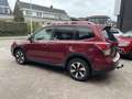 Subaru Forester 2.0 Premium Trekhaak/Schuifdak/Camera/Stoelverwarm Rood - thumbnail 4
