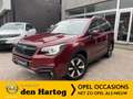 Subaru Forester 2.0 Premium Trekhaak/Schuifdak/Camera/Stoelverwarm Rood - thumbnail 1