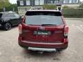 Subaru Forester 2.0 Premium Trekhaak/Schuifdak/Camera/Stoelverwarm Rood - thumbnail 6