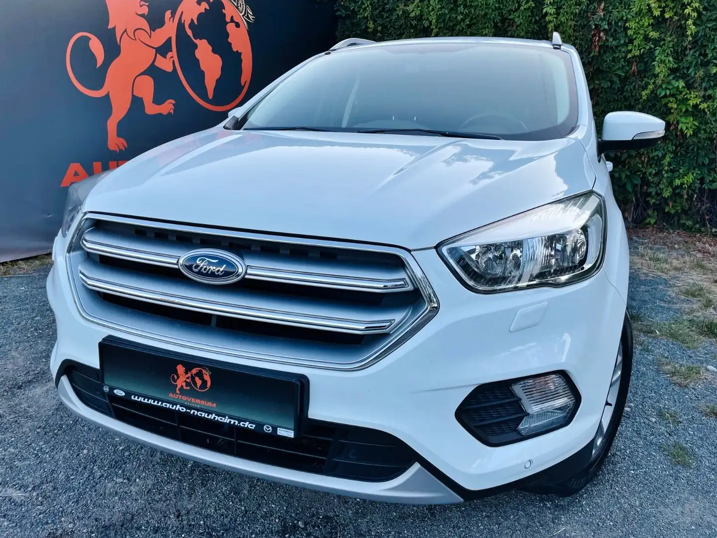 Ford Kuga #TÜV#SERVICE#TEMPOM#KLIMA#8.FACH-BER#BT#TOP Bianco - 1