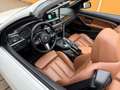 BMW 430 d M Sport F33 N57 Cabrio Weiß - thumbnail 39
