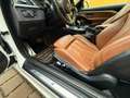 BMW 430 d M Sport F33 N57 Cabrio Weiß - thumbnail 12