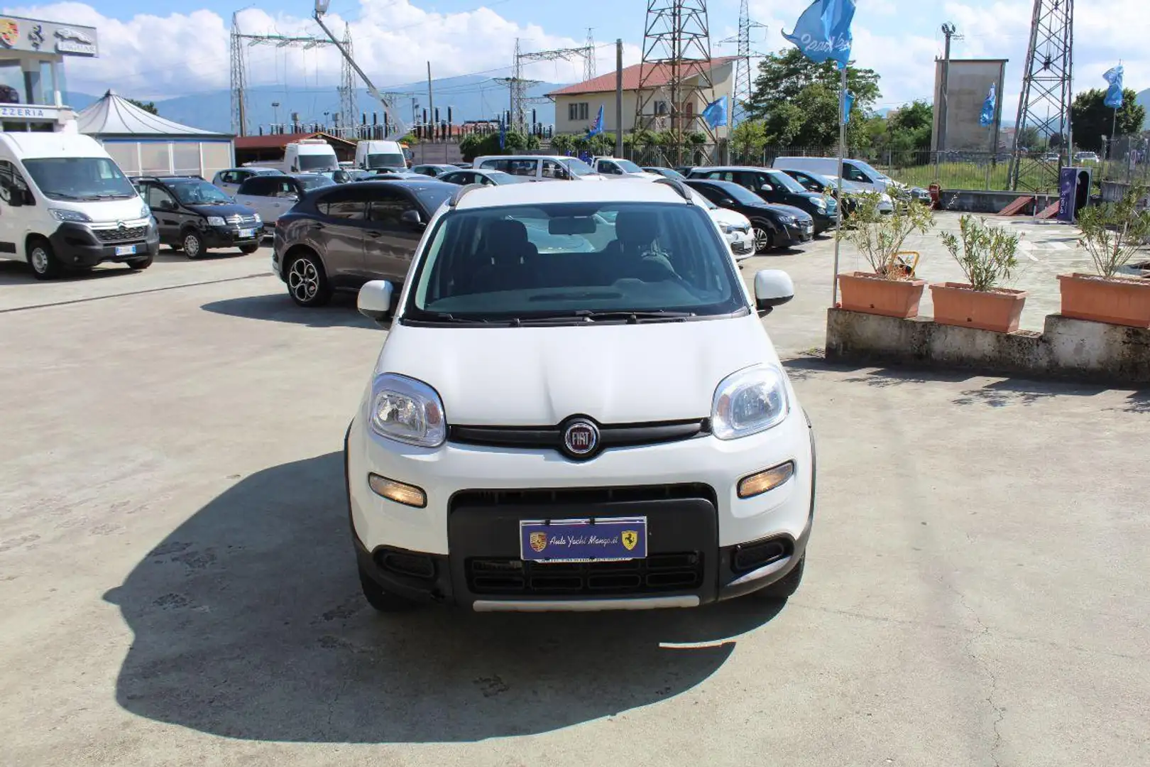 Fiat Panda 0.9 TwinAir Turbo S&S 4x4 Bianco - 2