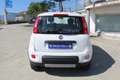 Fiat Panda 0.9 TwinAir Turbo S&S 4x4 Bianco - thumbnail 5