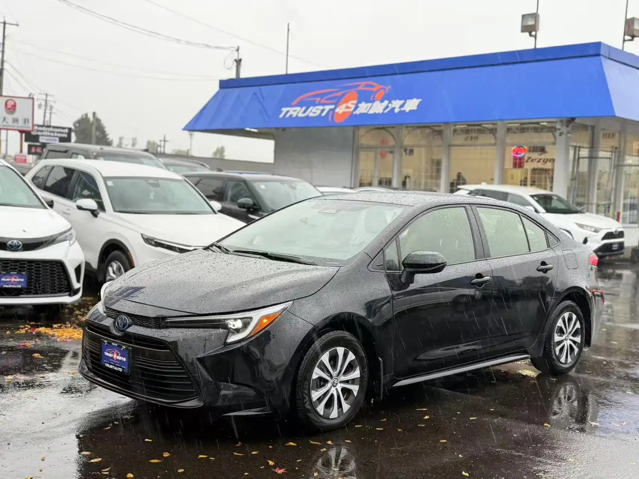 2023 Toyota Corolla