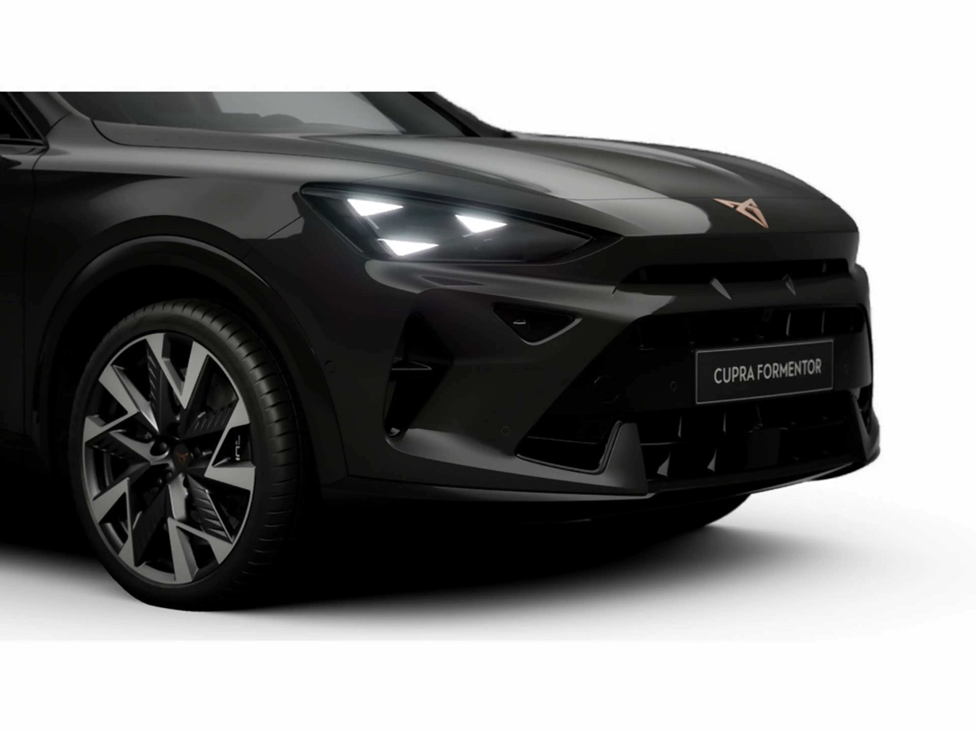CUPRA Formentor VZ 2.0 TSI DSG 4Drive AHK+Matrix+Sennheiser — photo 11