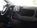 Fiat Panda 1.0 firefly hybrid Nero - thumbnail 14