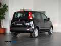 Fiat Panda 1.0 firefly hybrid Nero - thumbnail 6