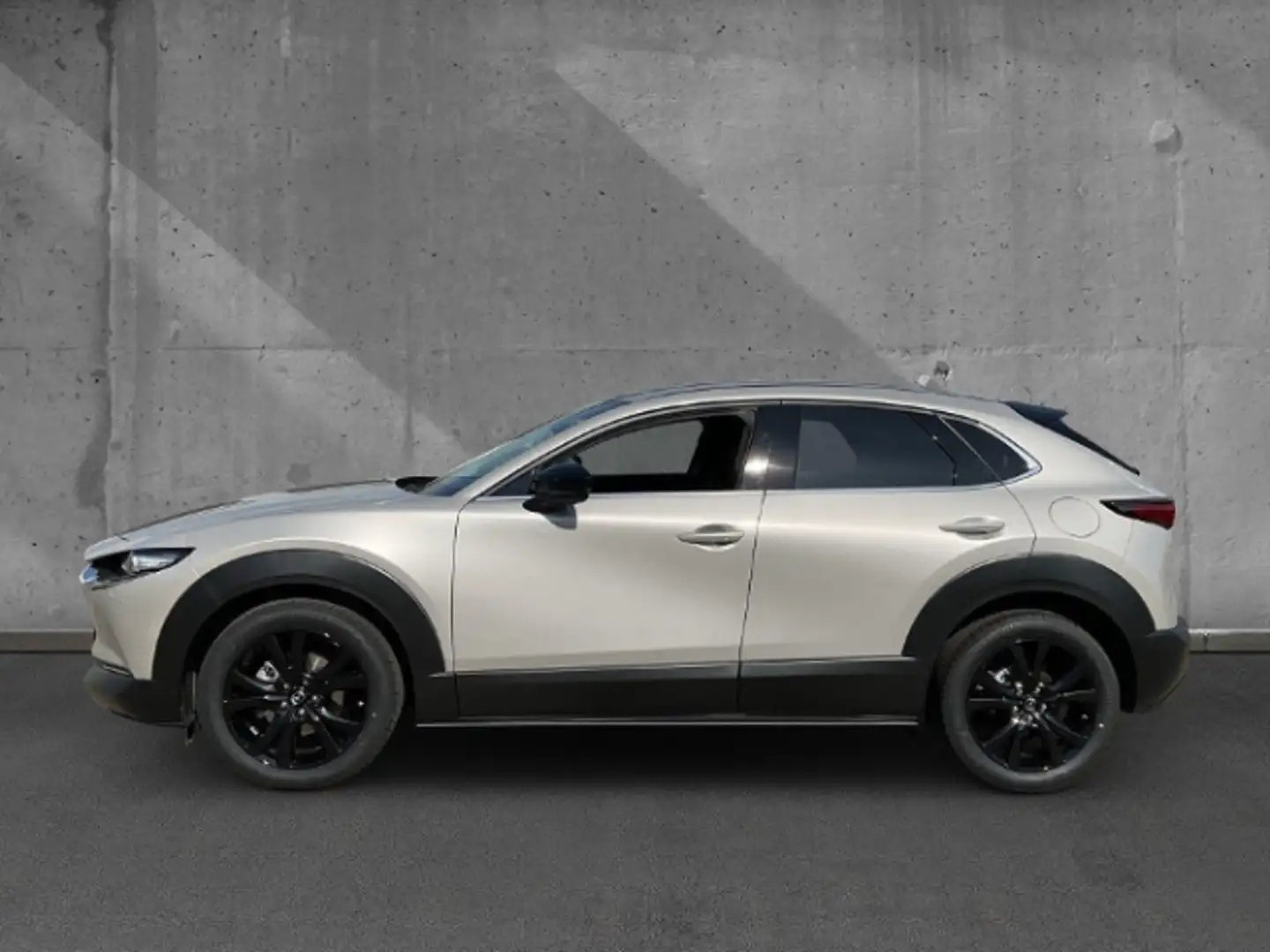 Mazda CX-30 2.5 AT Homura Kamera PDC Navi MRCC ACAA Beige - 2