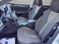 Skoda Octavia 2.0 Scout 4x4 147KW LED VIRTUAL Blanc - thumbnail 15