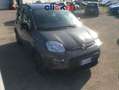 Fiat Panda FIAT PANDA 1.0 FireFly 70cv S&S Hybrid City Life Grigio - thumbnail 2