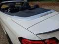 Mercedes-Benz C 400 C 400 Cabrio 4Matic 9G-TRONIC AMG Line Plus Weiß - thumbnail 8