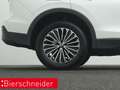 Volkswagen Tiguan 2.0 TDI DSG 4Mo. GOAL AHK IQ.LIGHT NAVI KESSY Weiß - thumbnail 24