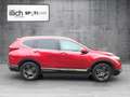 Honda CR-V 1,5Turbo VTEC Executive 4WD Rot - thumbnail 2