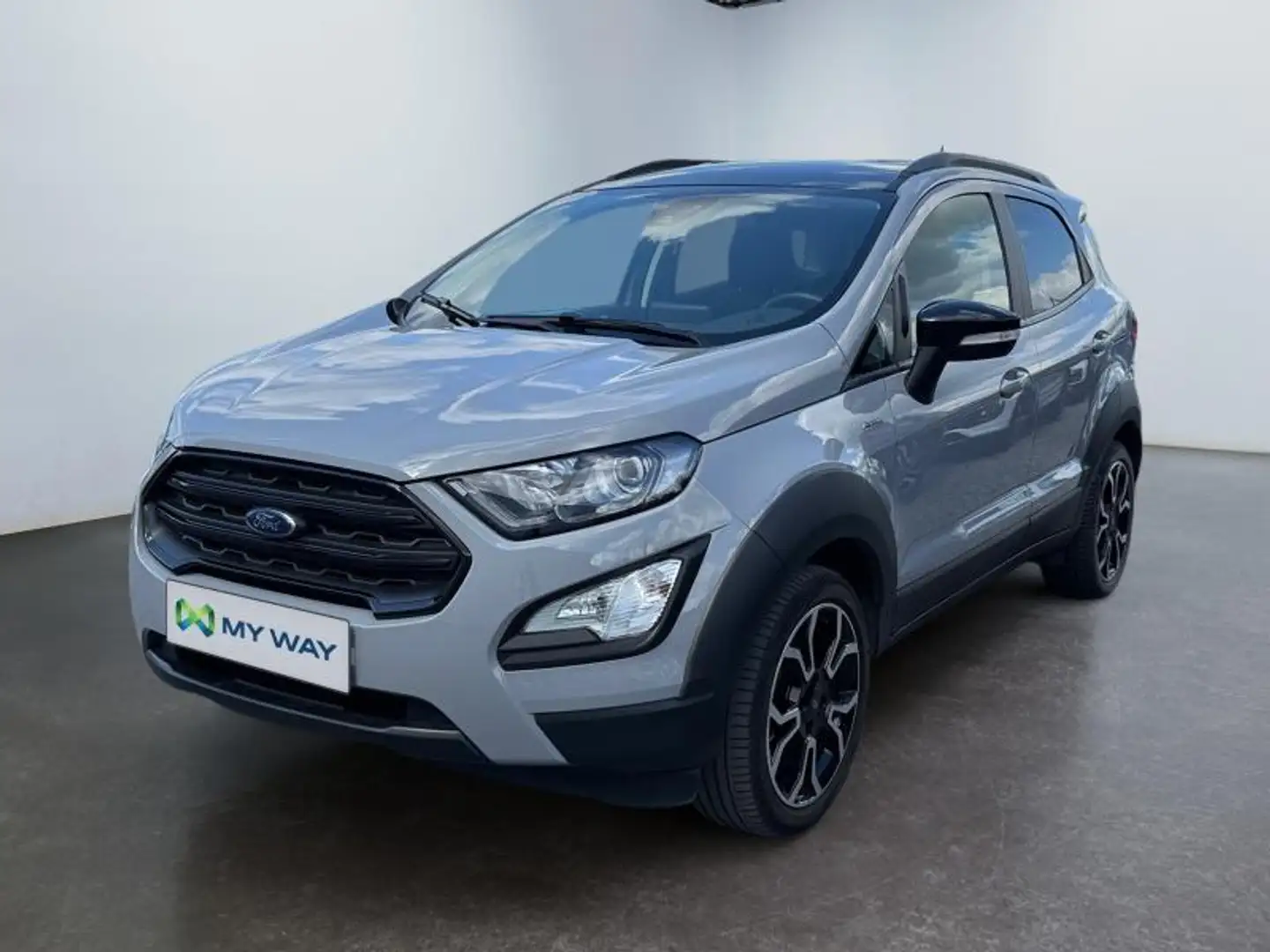 Ford EcoSport Ecosport Active*Bluetooth*Cuir*APS Ar*Clim auto Gris - 1