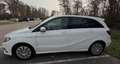 Mercedes-Benz B Electric Drive (Electric Drive) 250 e Weiß - thumbnail 5