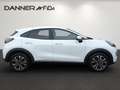 Ford Puma TITANIUM 125PS EcoBoost/Benzin Mild-Hybrid (PRE... Weiß - thumbnail 3
