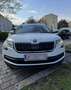 Skoda Kodiaq 2,0 TDI SCR 4x4 Scout DSG Weiß - thumbnail 3