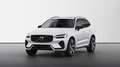Volvo XC60 T6 AWD Recharge  R Design 4XSHZ ACC CAM H&K Weiß - thumbnail 1