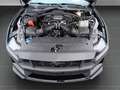 Ford Mustang Fastback 5.0 Ti-VCT V8 334 Dark Horse Nero - thumbnail 19